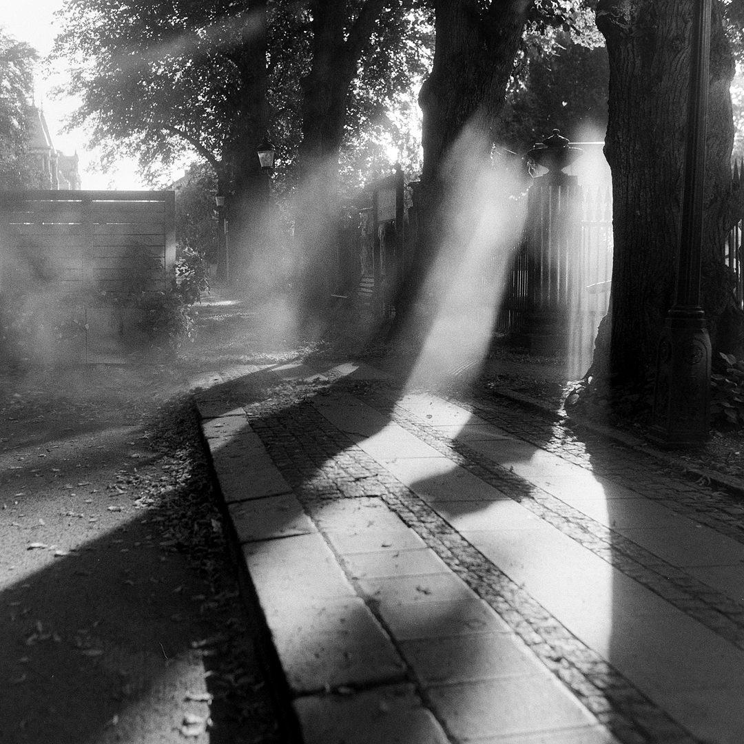 Östra storgatan. Hasselblad 1000F/Zeiss 80mm. Fomapan 400