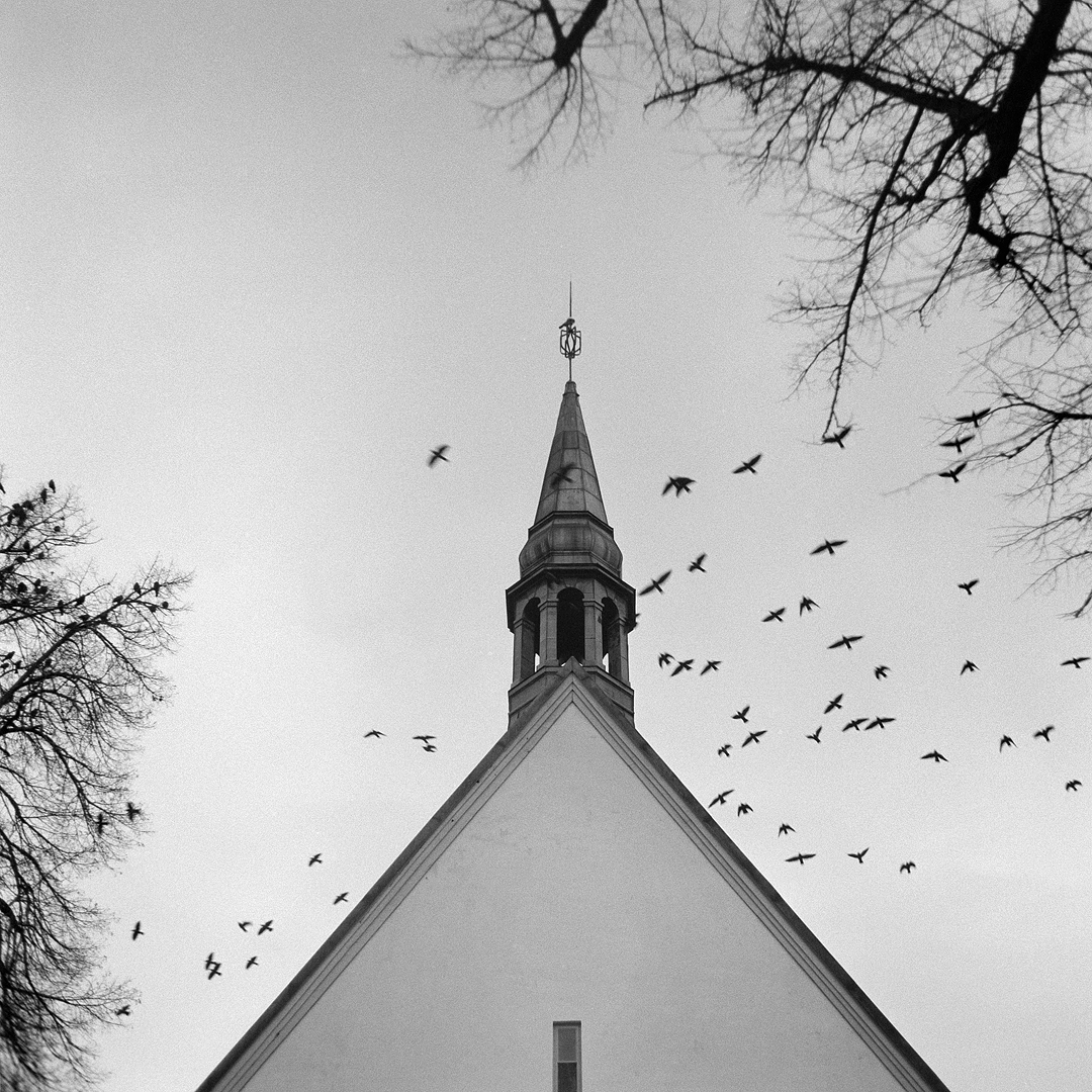 Alla Helgona kyrka. Hasselblad 1000F/Zeiss 80mm. Ilford HP5 pushed to 1600